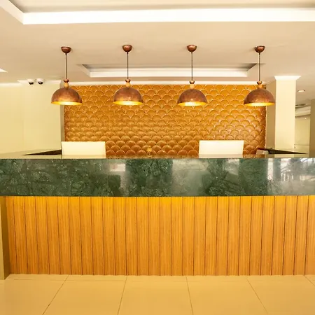 Citrus Plaza 호텔 4*