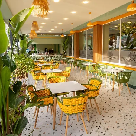Cıtrus Plaza 4*