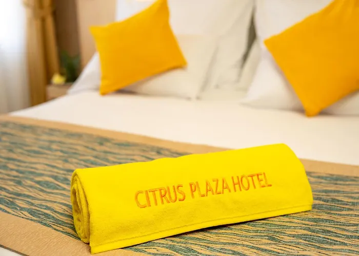 Citrus Plaza 4*
